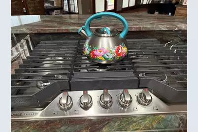 20832 Hunter Hill Drive, Dade City, FL 33523 - Photo 54