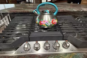 20832 Hunter Hill Dr, Dade City, FL 33523 - Photo 54