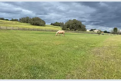 20832 Hunter Hill Drive, Dade City, FL 33523 - Photo 12