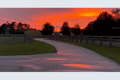 20832 Hunter Hill Drive, Dade City, FL 33523 - Photo 46