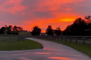 20832 Hunter Hill Dr, Dade City, FL 33523 - Photo 46