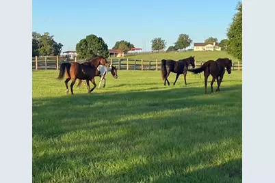 20832 Hunter Hill Drive, Dade City, FL 33523 - Photo 36