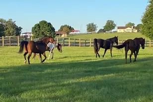 20832 Hunter Hill Dr, Dade City, FL 33523 - Photo 36