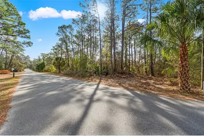 9142 Michigan Avenue, Weeki Wachee, FL 34613 - Photo 2