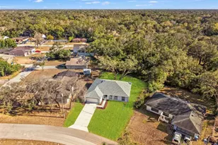 7414 Balsam St, Spring Hill, FL 34606 - Photo 40