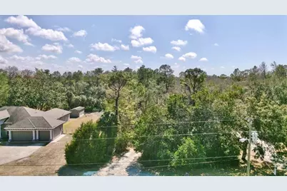 10458 Gypsy Avenue, Weeki Wachee, FL 34613 - Photo 2