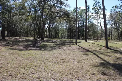 0 Quigley Avenue, Weeki Wachee, FL 34614 - Photo 6