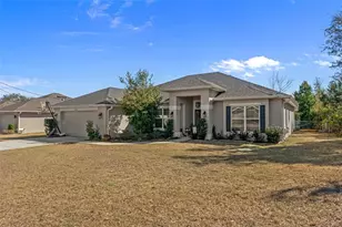 3373 Dothan Ave, Spring Hill, FL 34609 - Photo 4