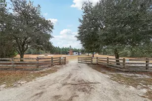 30342 Vitex Ave, Eustis, FL 32736 - Photo 68