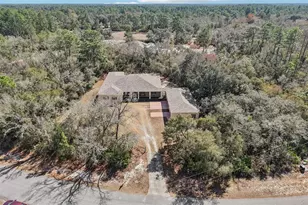 30342 Vitex Ave, Eustis, FL 32736 - Photo 56
