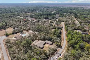 30342 Vitex Ave, Eustis, FL 32736 - Photo 62