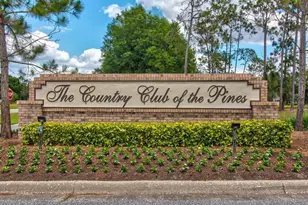 6580 Brambleleaf Dr, Spring Hill, FL 34606 - Photo 58