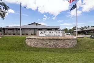 6580 Brambleleaf Dr, Spring Hill, FL 34606 - Photo 34