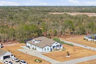 9667 Pantera Loop, Weeki Wachee, FL 34613 - Photo 78