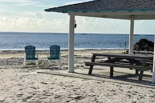 5524 Gridley Ln, New Port Richey, FL 34652 - Photo 46