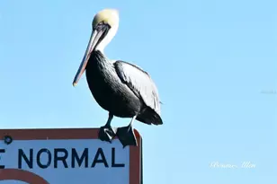 12809 4th Isle, Hudson, FL 34667 - Photo 28