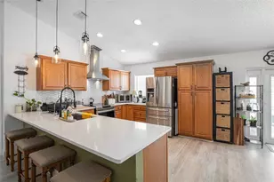 312 Benson St, Valrico, FL 33594 - Photo 8