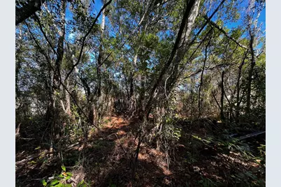 2293 Marietta Avenue, Spring Hill, FL 34608 - Photo 4