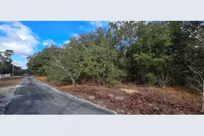 4331 W Donali Court, Homosassa, FL 34446 - Photo 4