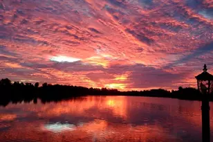 11603 Bathgate Ct, New Port Richey, FL 34654 - Photo 82