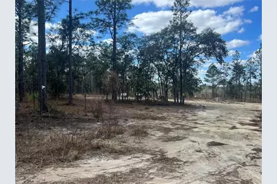 0000 SE 135th Court SE, Dunnellon, FL 34431 - Photo 10