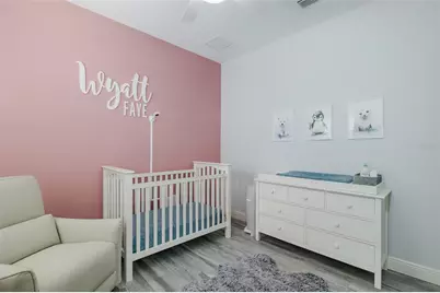 20301 Falling Rock Drive, Land O Lakes, FL 34638 - Photo 32