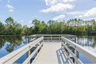 20301 Falling Rock Drive, Land O Lakes, FL 34638 - Photo 92