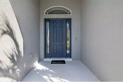 20301 Falling Rock Drive, Land O Lakes, FL 34638 - Photo 4