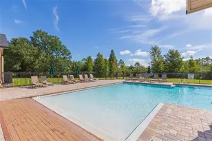 20301 Falling Rock Dr, Land O Lakes, FL 34638 - Photo 90