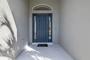 20301 Falling Rock Dr, Land O Lakes, FL 34638 - Photo 4