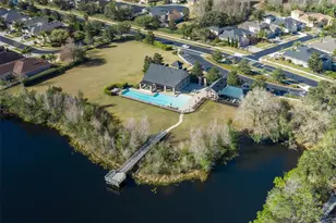 20301 Falling Rock Dr, Land O Lakes, FL 34638 - Photo 86