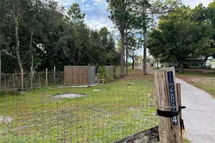 12824 Ithica Ave, Hudson, FL 34667 - Photo 18