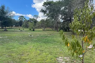 12824 Ithica Ave, Hudson, FL 34667 - Photo 14