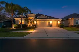 3303 Stonegate Falls Dr, Land O Lakes, FL 34638 - Photo 1