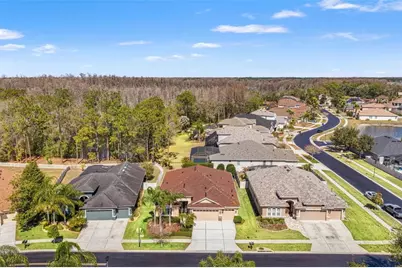 3303 Stonegate Falls Drive, Land O Lakes, FL 34638 - Photo 2