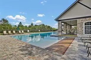 3303 Stonegate Falls Dr, Land O Lakes, FL 34638 - Photo 68