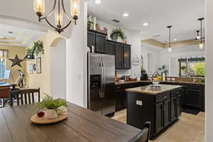 3303 Stonegate Falls Dr, Land O Lakes, FL 34638 - Photo 48