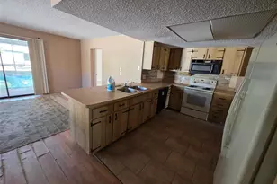 1364 Dill Ave, Spring Hill, FL 34608 - Photo 4