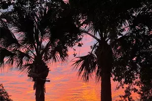 302 Summer Sails Dr, Valrico, FL 33594 - Photo 34