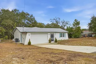 8165 Ridge Rd, Weeki Wachee, FL 34613 - Photo 24