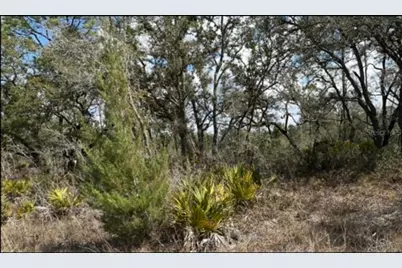 18308 Parakeet Road, Brooksville, FL 34614 - Photo 1