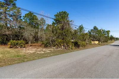 8447 Mazette Road, Weeki Wachee, FL 34613 - Photo 12