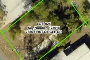 7386 1st Cir Dr, Brooksville, FL 34613 - Photo 1