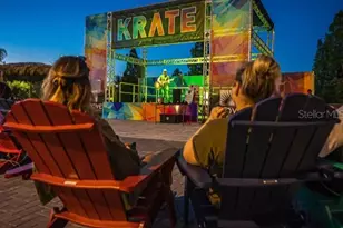 6905 Pearson Ln, Wesley Chapel, FL 33544 - Photo 4