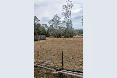 6905 Pearson Lane, Wesley Chapel, FL 33544 - Photo 2