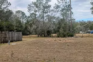 6905 Pearson Ln, Wesley Chapel, FL 33544 - Photo 2