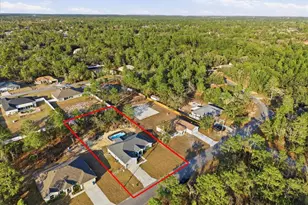 12015 Phoenix Ave, Weeki Wachee, FL 34614 - Photo 18