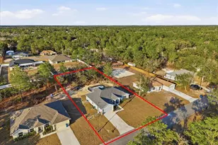 12015 Phoenix Ave, Weeki Wachee, FL 34614 - Photo 6