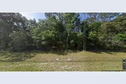 8120 SW 145th Street, Dunnellon, FL 34432 - Photo 2