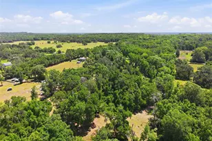 16145 Snow Memorial Hwy, Brooksville, FL 34601 - Photo 46